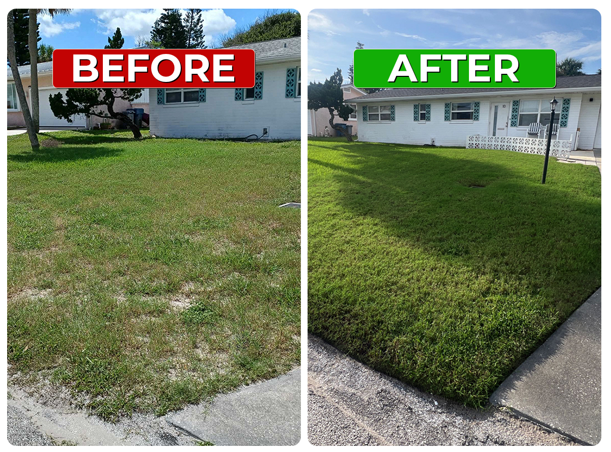 Before Lawn Image 5