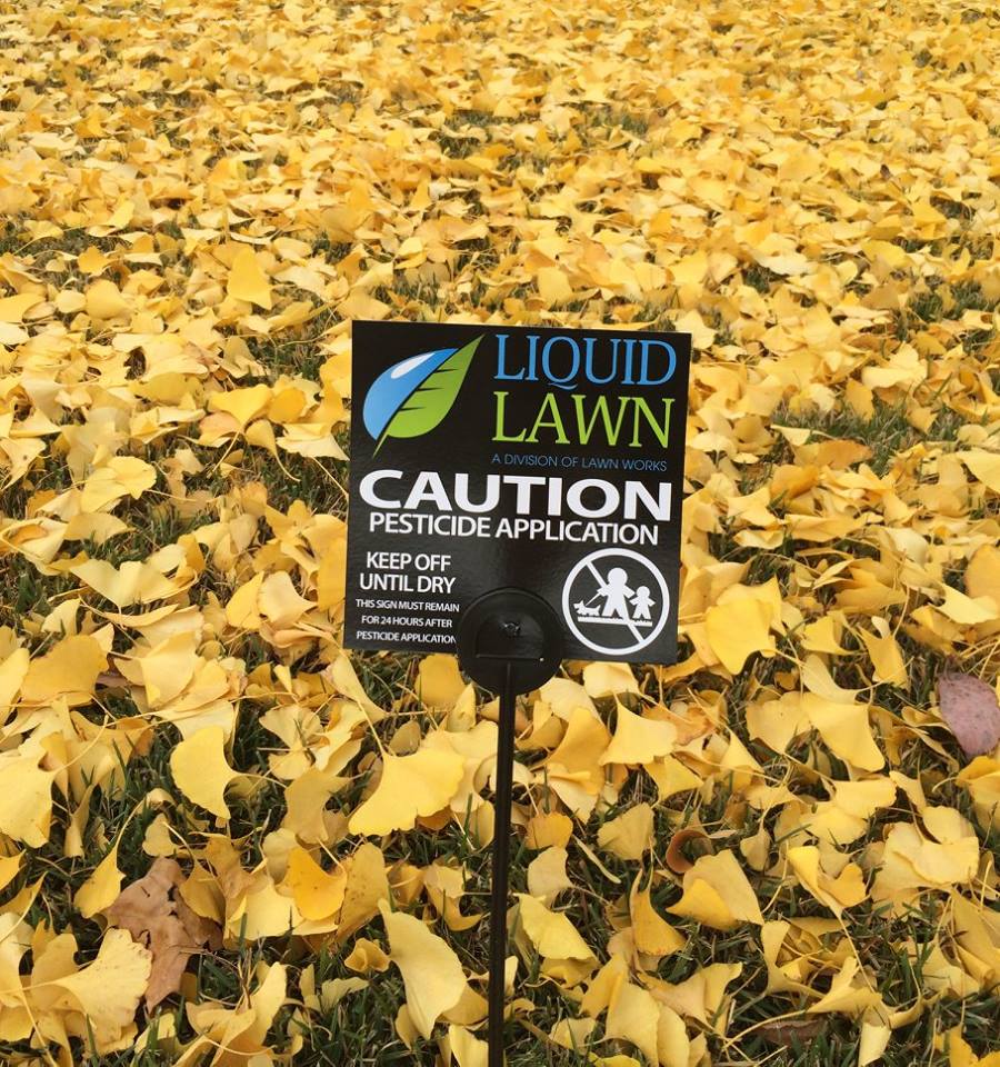 Gallery See Some Of The Work Already Done In Macon And Daytona