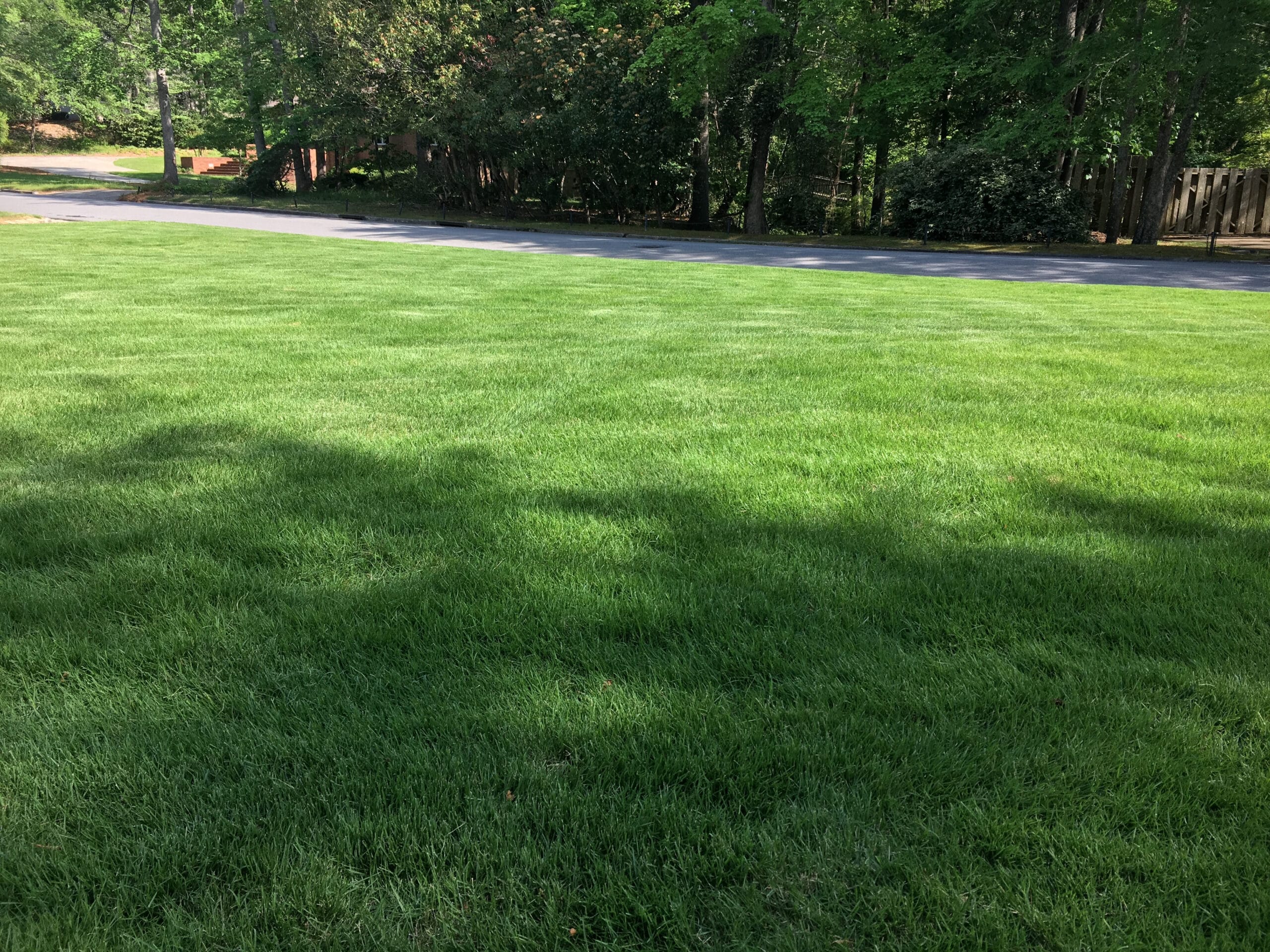 lawn treatment