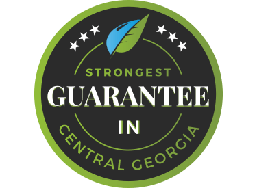 guarantee guarantee