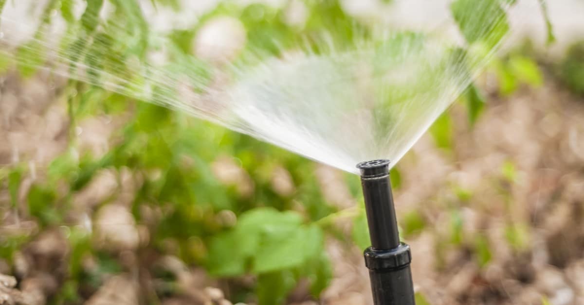 banner - 2020-01-27T112753.581 liquid lawn spring lawn care tips daytona