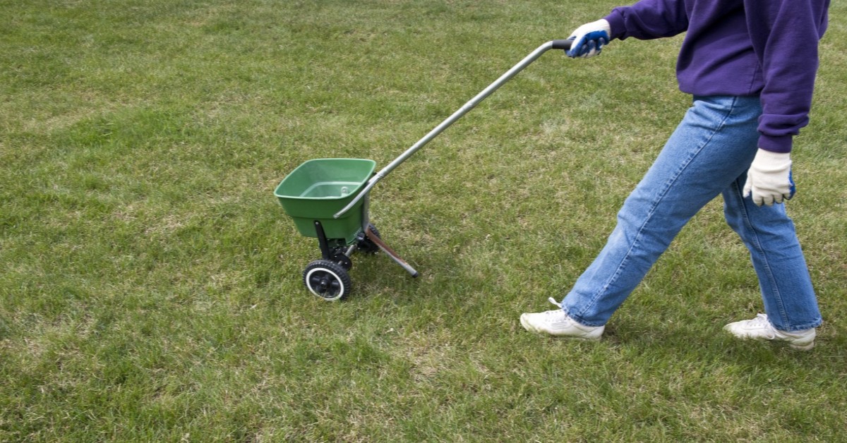 banner - 2020-01-27T113702.773 spring lawn care tips warner robins liquid lawn