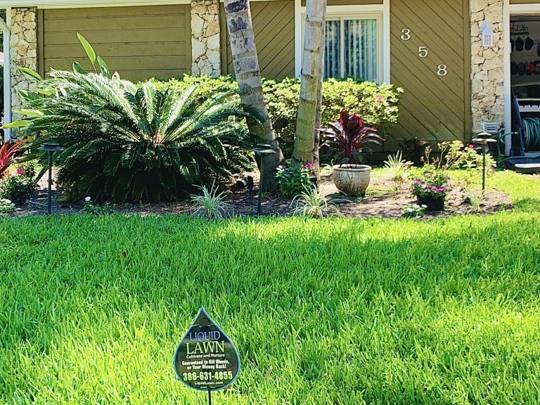 50 free gift Daytona Liquid Lawn