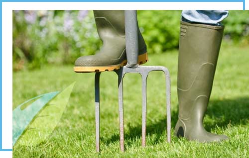 lawncare lawncare