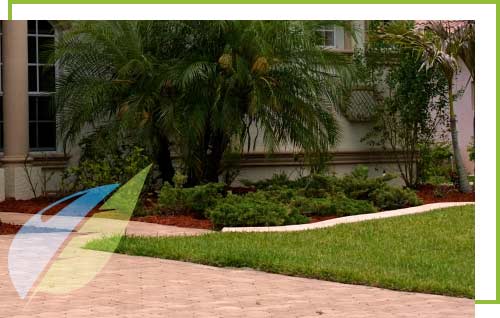 weedcontrol weedcontrol