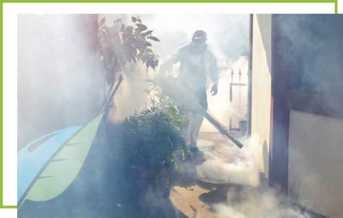 weedcontrol weedcontrol